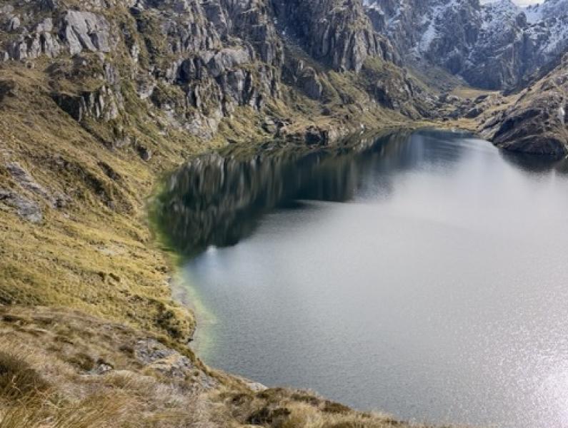Lake Harris Medium
